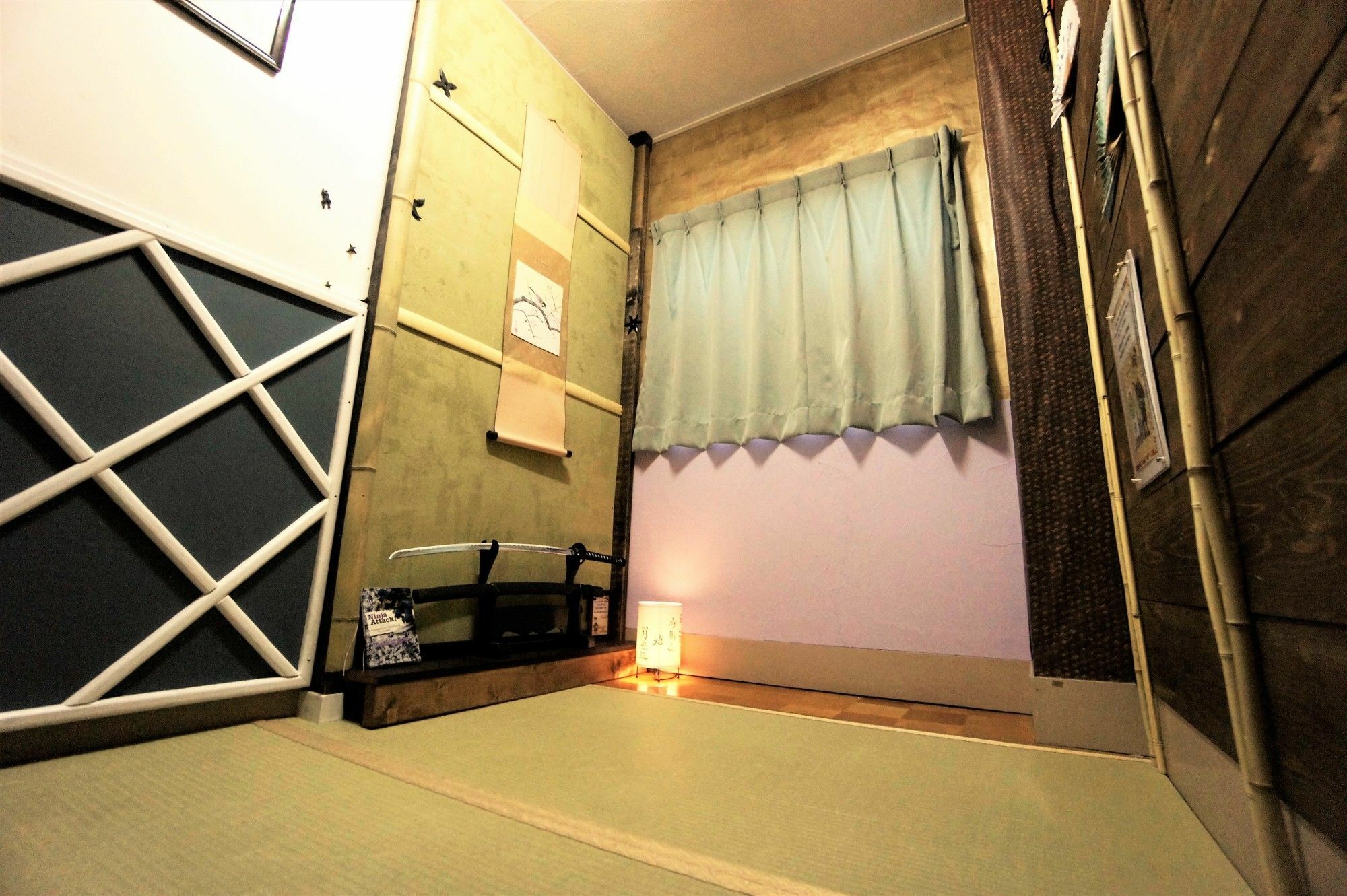 Ninja In New Koyo